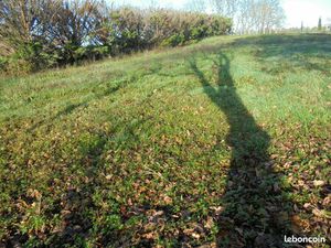 Terrain constructible