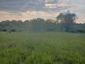 Terrain SAINT MARTIN DU BOIS
