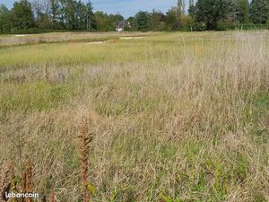 Terrain 700 m² Ayguemorte Les Graves