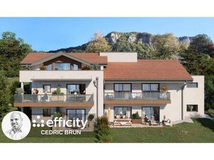 efficity Cedric Brun