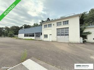 Local bureaux 1 044 m²