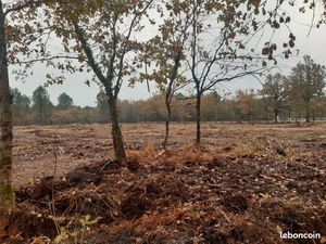 Terrain 700 m² Le Tuzan