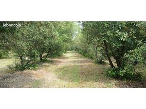 Terrains Viabilisés Libre de constructeurs