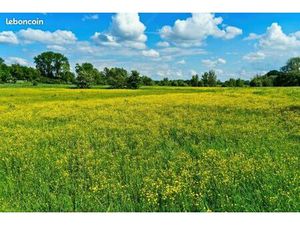 Terrain 347 m² Guignen