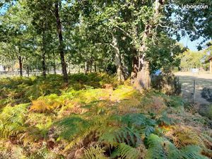 Terrain 750 m² Langon