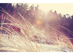 Terrain 985 m² Lugos