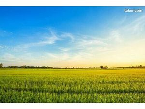 Terrain 2 000 m² Amboise