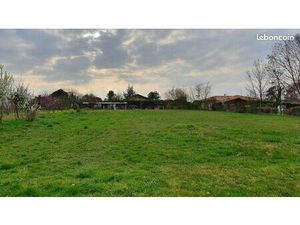 Terrain 535 m² Baron