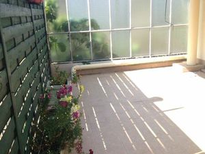 Appart T2 avec terrasse ensoleillée et cave