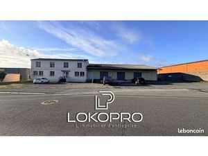 Local 1395 m² Cholet