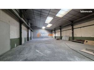 Local 332 m² Sèvremoine