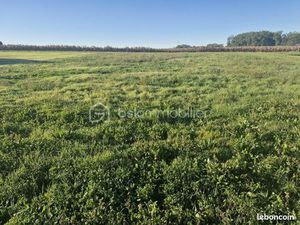 Terrain 1 664 m² Razac D Eymet