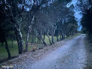 Venta de terreno en Caudies