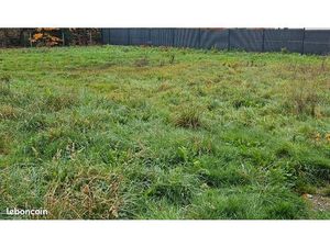 Terrain constructible