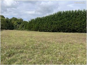 Terrain 2 175 m² Maine De Boixe