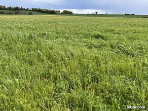 Terrain 1 414 m² Mansle