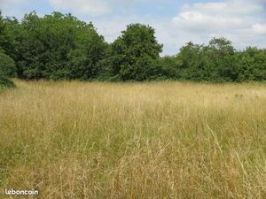 Terrain 2 018 m² Mansle