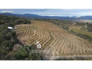 Terrain agricole 28 875 m² Cassagnes