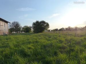 Terrain pour maison individuelle