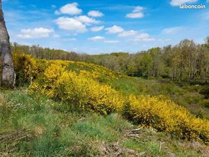 Terrain non construtif