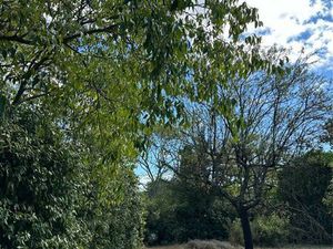 Terrains à bâtir - Castelnau-le-Lez