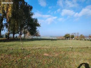 Terrain constructible