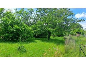 Vend grand terrain constructible