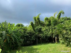 Spacieux appartement dans cadre bucolique à louer ??☀️