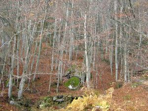 Lot de terrains montagnards