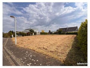 Terrain constructible