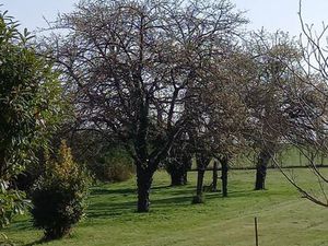 Igé -Terrain à bâtir de 1172m² viabilisé  Hors lotissement