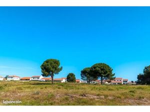 Terrain 323 m² Latour Bas Elne