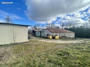 Local d'activité 521 m²