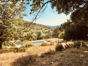 Propriété de 9ha a vendre