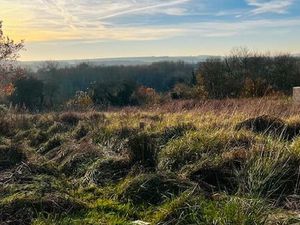 Terrain à bâtir- 1978 m² - Montigny s/ Vesle (51140) - Viabilisé - Libre de tout construct
