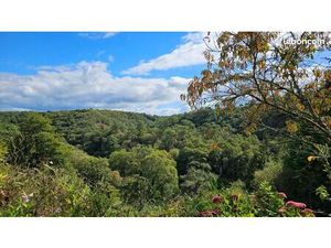 Propriété 11 pièces 250 m²