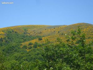 Terrain avec vue facile d'accès