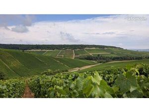 Terre à vigne AOC Champagne à St Thierry