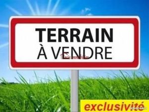 Terrain 4 600 m² 10 Minutes Arcis Sur Aube