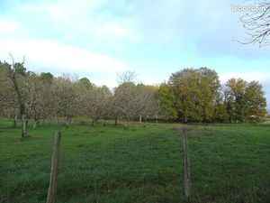 Terrain 3 972 m² Douzillac