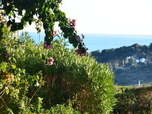 Local commercial / professionnel CAP ESTEREL