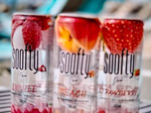 Cherche associe bar snack