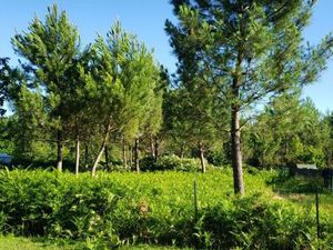 Terrain 730 m² Carcans