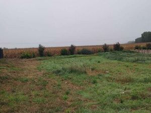 Terrain 323 m² Weckolsheim