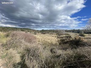 Terrain 6 683 m² Loupian