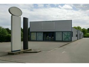 Local Commercial Hésingue 475 m2
