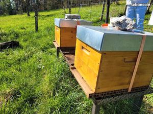 Recherche terrain secteur ayse