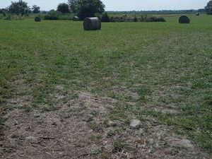 Parcelle au Mont-Dol – 1 95Ha + hangar - Non Constructible