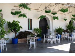 à louer – restaurant atypique en domaine viticole – saison estivale 2026