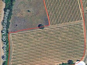 Îlots de vignes Cessenon